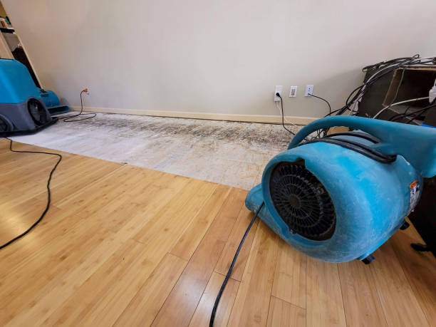Professional Basement Flood Cleanup technician working in Lincolnton, GA